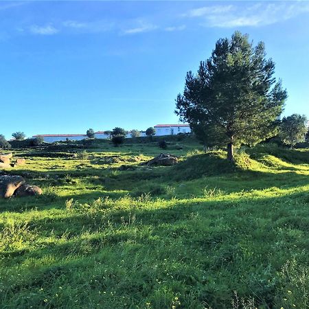 Apartamento En Roses Parking Y Piscina Comunitaria Av-54 Εξωτερικό φωτογραφία